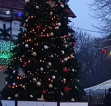 ополнительное фото тура 