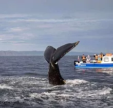 ополнительное фото тура 