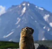 ополнительное фото тура 