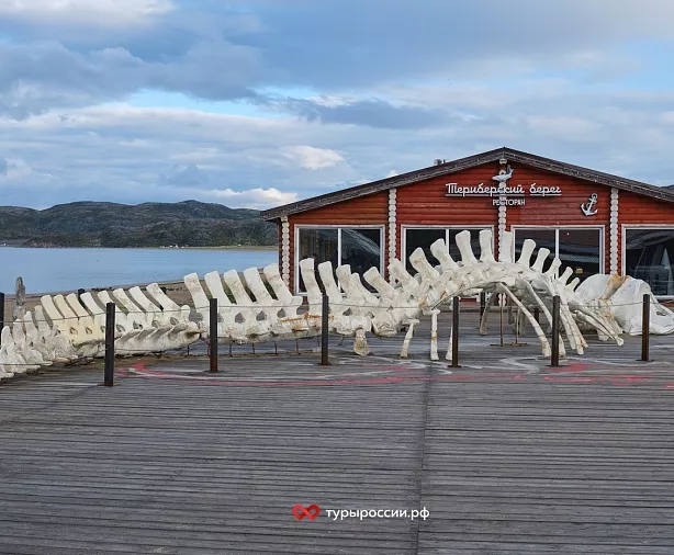 Изображение статьи Мурманск — как добраться, где жить, что посмотреть Туры России