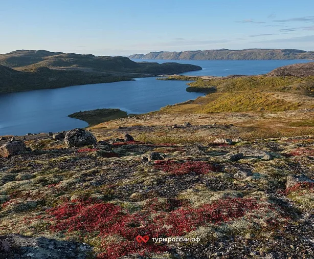 Изображение статьи Отдых в Териберке: как добраться, где жить, что посмотреть Туры России