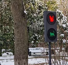 ополнительное фото тура 