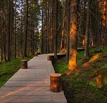 ополнительное фото тура 