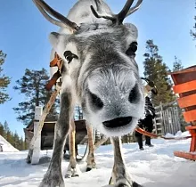 ополнительное фото тура 