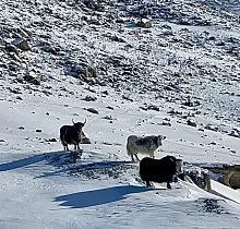 ополнительное фото тура 