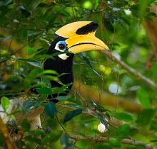 ополнительное фото тура 