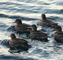 ополнительное фото тура 