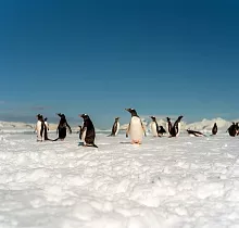 ополнительное фото тура 