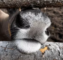 ополнительное фото тура 