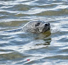 ополнительное фото тура 