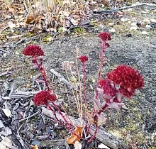 ополнительное фото тура 