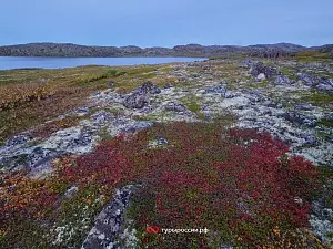 Осень в Териберке