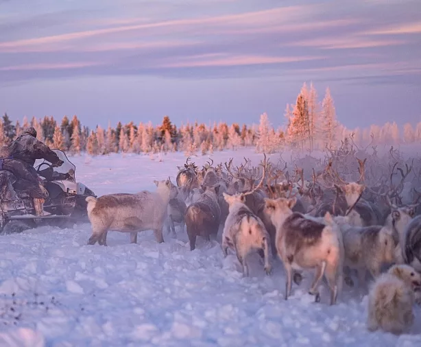 Изображение статьи Путешествие на Ямал: как добраться, что посмотреть, когда лучше ехать Туры России