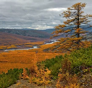 Магаданская область: национальный парк «Черский»