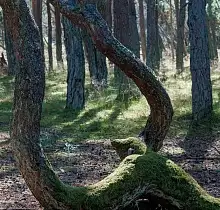 ополнительное фото тура 