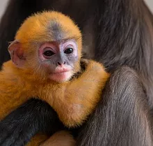 ополнительное фото тура 