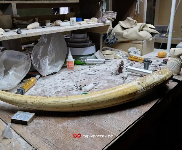 Изображение статьи Косторезы Чукотки: искусство, выросшее из вечной мерзлоты и моря Туры России