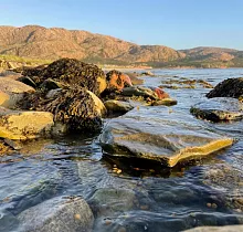 ополнительное фото тура 