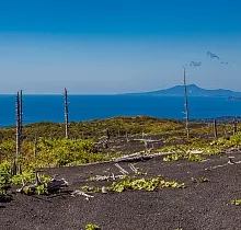 Фото дня 8 тура Сахалин, Итуруп, Шикотан и Кунашир с вулканом Тятя