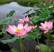 ополнительное фото тура 