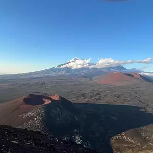 Фото отзыва