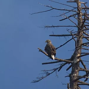 Фото отзыва