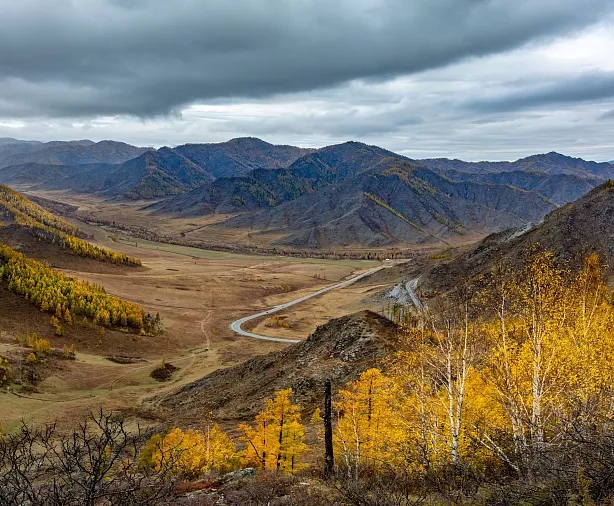 Изображение статьи Фотопутешествие на Горный Алтай из Москвы, золотая осень, 7 дней. Личный опыт Туры России