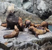 ополнительное фото тура 