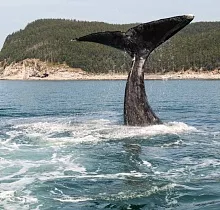 ополнительное фото тура 