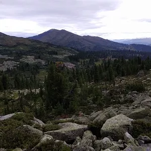 Фото отзыва