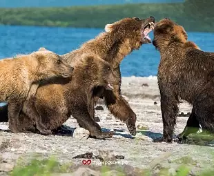 Тур 