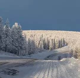 Тур Зимний автотур по Колыме: Якутск - Оймякон - Магадан