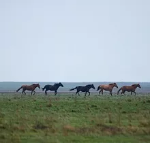 ополнительное фото тура