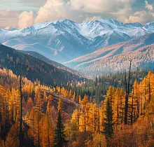 ополнительное фото тура