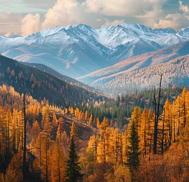 Тур Золотое кольцо Алтая