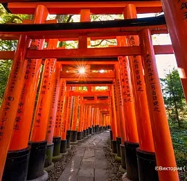 Тур ПОЛНЫЙ ТУР ПО ЯПОНИИ 15 ДНЕЙ