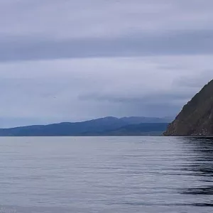 Фото отзыва