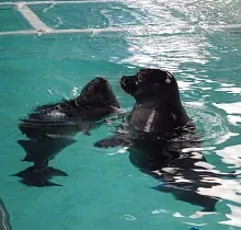 ополнительное фото тура 