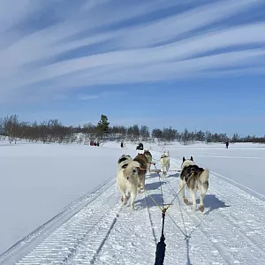 Фото отзыва