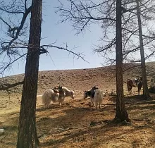 ополнительное фото тура 