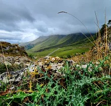 ополнительное фото тура 