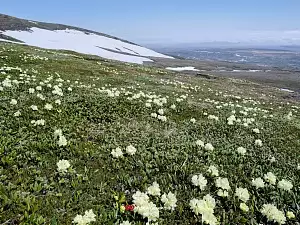 Пейзажи острова Парамушир и вулкана Эбеко