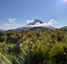 ополнительное фото тура 