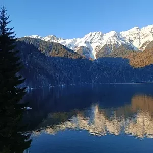 Фото отзыва