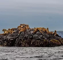 ополнительное фото тура 