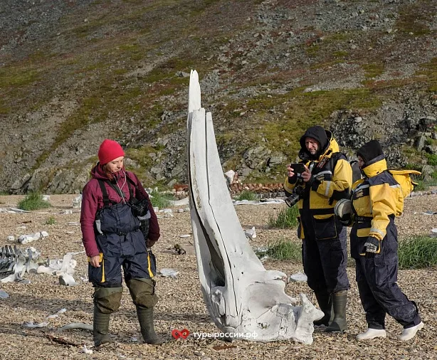 Изображение статьи Национальный парк «Берингия» — как добраться, где жить, что посмотреть Туры России