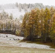 ополнительное фото тура 