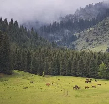 ополнительное фото тура 