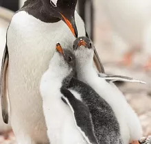 ополнительное фото тура 