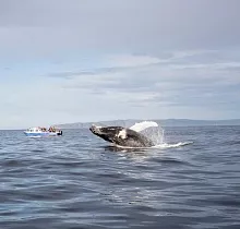 ополнительное фото тура 